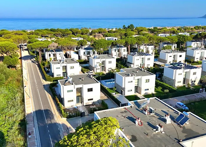 Swisssweet 297 Drač